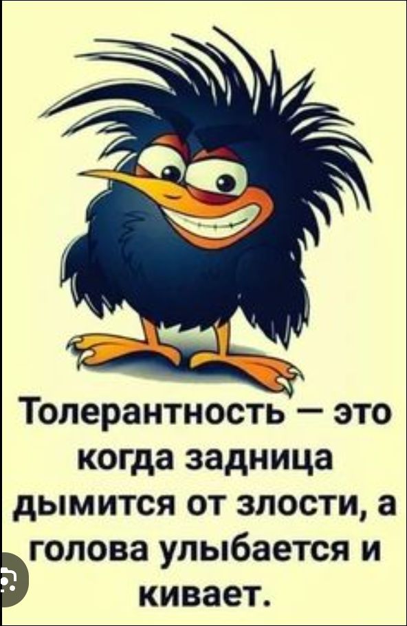 Толерантность — это когда задница дымится от злости, а голова улыбается и кивает.