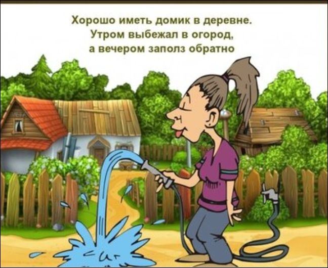 Хорошо иметь домик в деревне. Утром выбежал в огород, а вечером заполз обратно.