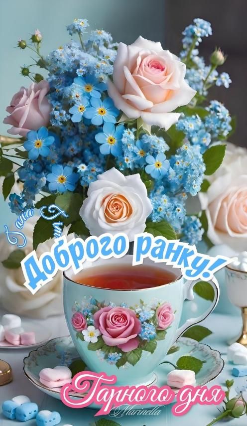 Доброе утро! Хорошего дня!