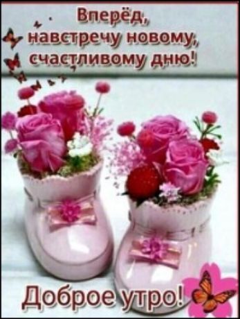 Вперёд, навстречу новому, счастливому дню!
Доброе утро!