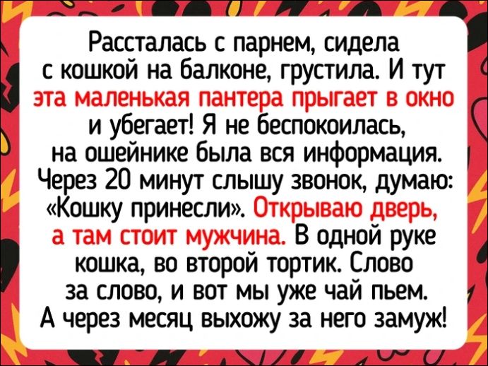 Рассталась с парнем, сидела с кошкой на балконе, грустила. И тут эта маленькая пантера прыгает в окно и убегает! Я не беспокоилась, на ошейнике была вся информация. Через 20 минут слышу звонок, думаю: «Кошку принесли». Открываю дверь, а там стоит мужчина. В одной руке кошка, во второй тортик. Слово за словом, и вот мы уже ходим! А через месяц выхожу за него замуж!