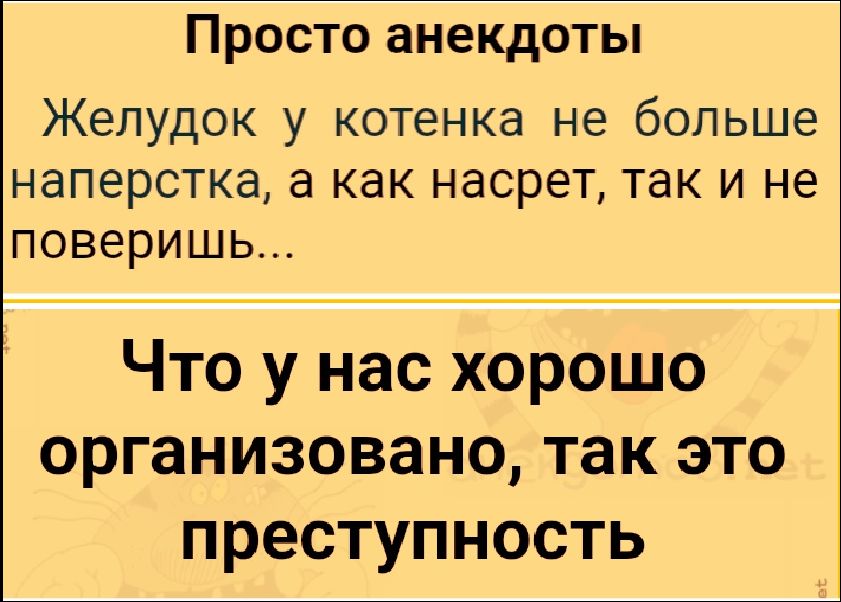 ПРОСТО анекдоты

Желудок у котенка не больше
наперстка, а как насрет, так и не
поверишь...

Что у нас хорошо
организовано, так это
преступность

