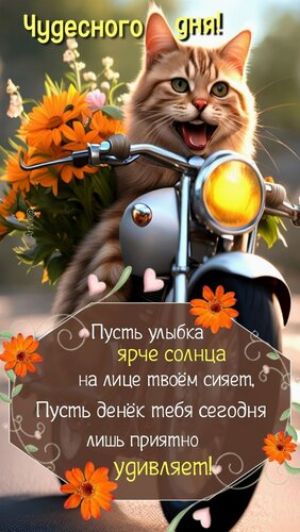 Чудесного дня!
Пусть улыбка ярче солнца на лице твоём сияет. Пусть денёк тебя сегодня лишь приятно удивляет!