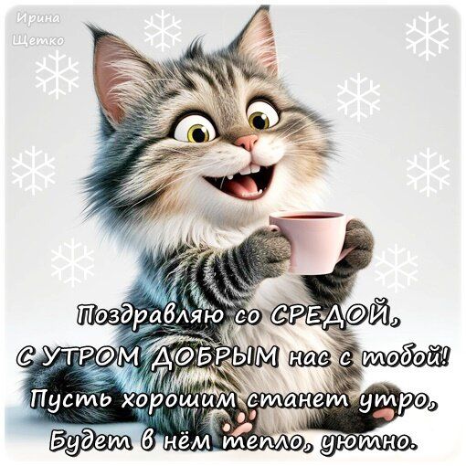 Ирина Щетко Поздравляю со СРЕДОЙ, С УТРОМ ДОБРЫМ нас с тобой! Пусть хорошим станет утро, Будет в нём тепло, уютно.