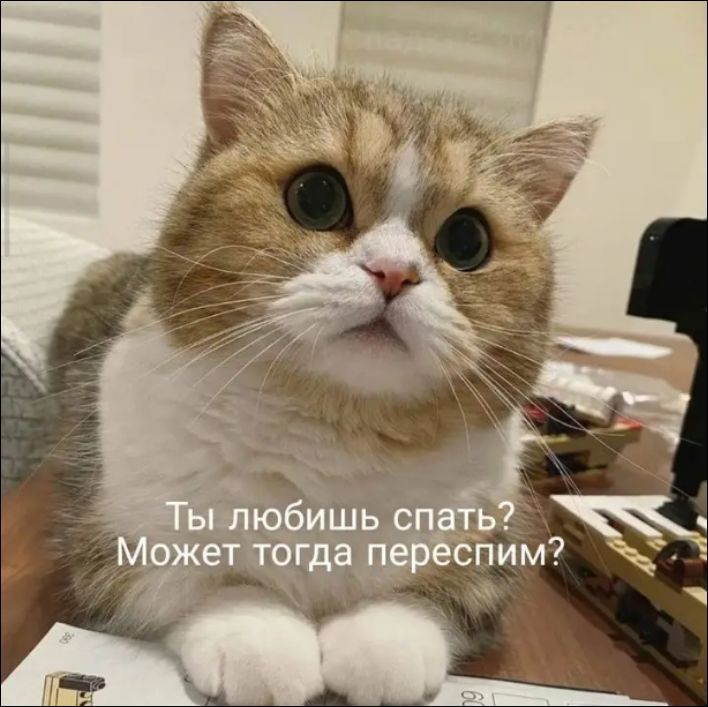 Ты любишь спать? Может тогда переспим?