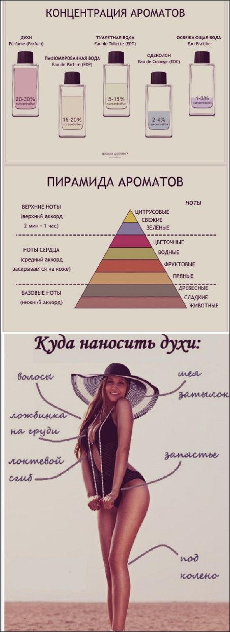 КОНЦЕНТРАЦИЯ АРОМАТОВ. ДУХИ Perfume (Parfum) 20-30% concentration. ПАФЮМИРОВАННАЯ ВОДА Eau de Parfum (EDP) 15-20% concentration. ТУАЛЕТНАЯ ВОДА Eau de Toilette (EDT) 5-15% concentration. ОДЕКОЛОН Eau de Cologne (EDC) 2-4% concentration. ОСВЕЖАЮЩАЯ ВОДА Eau Fraiche 1-3% concentration. ШКОЛА ШОПИНГА. ПИРАМИДА АРОМАТОВ. ВЕРХНИЕ НОТЫ (верхний аккорд)
