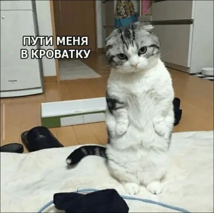 ПУТИ МЕНЯ В КРОВАТКУ