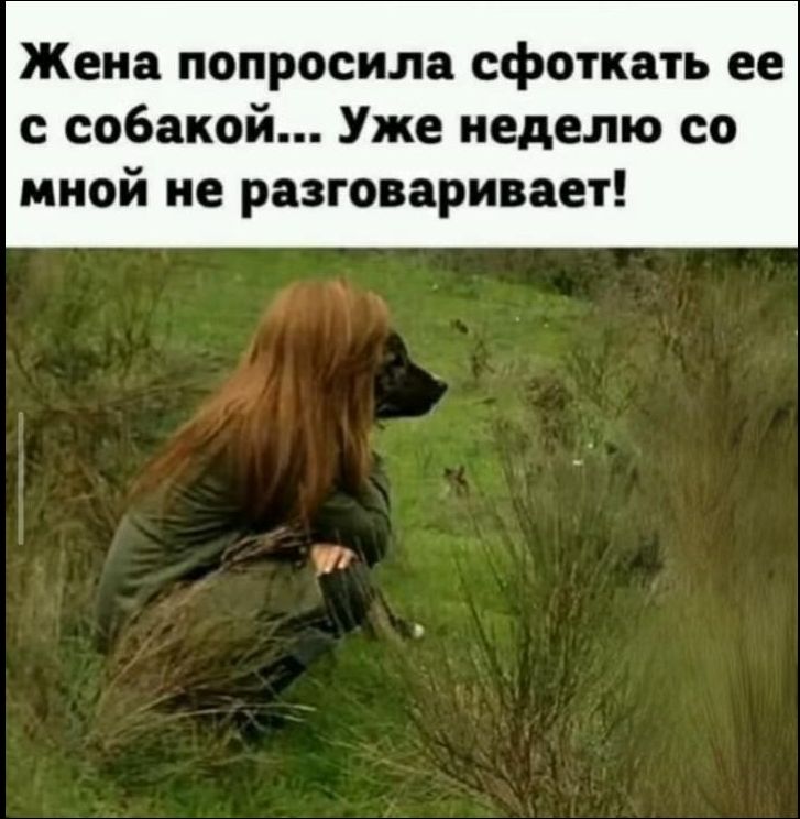 Жена попросила сфоткать ее с собакой... Уже неделю со мной не разговаривает!