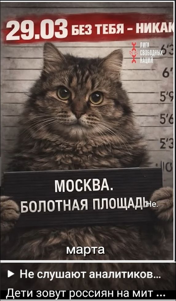 29.03 БЕЗ ТЕБЯ - НИКАК ЛИГА СВОБОДНЫХ НАЦИЙ МОСКВА. БОЛОТНАЯ ПЛОЩАДЬ марта Не слушают аналитиков... Дети зовут россиян на митинг...