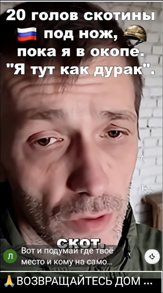 20 голов скотины под нож, пока я в окопе. 