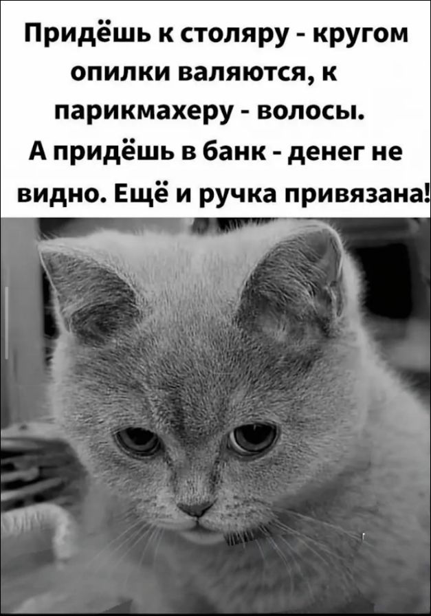 Придёшь к столяру - кругом опилки валяются, к парикмахеру - волосы. А придёшь в банк - денег не видно. Ещё и ручка привязана!