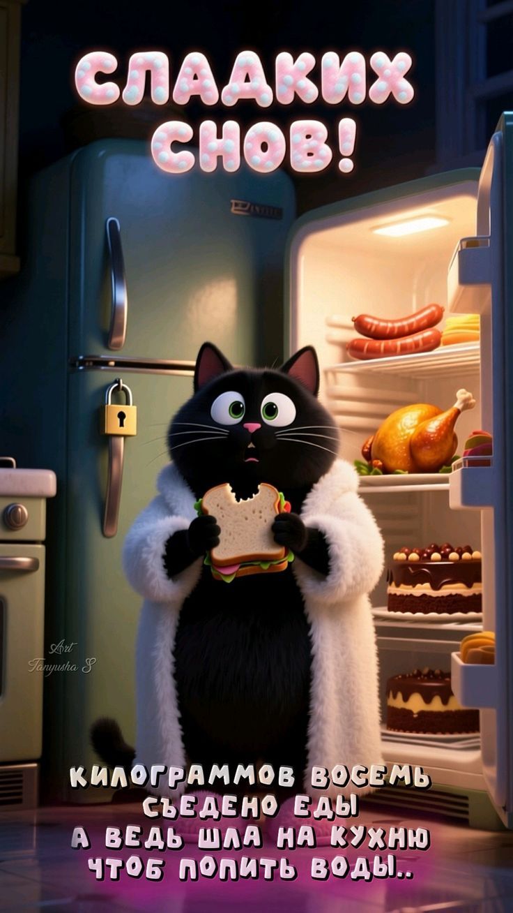 СЛААКИХ СНОВ! КИЛОГРАММОВ ВОСЕМЬ СЪЕДЕНО ЕДЫ А ВЕДЬ ШЛА НА КУХНЮ ЧТОБ ПОПИТЬ ВОДЫ..