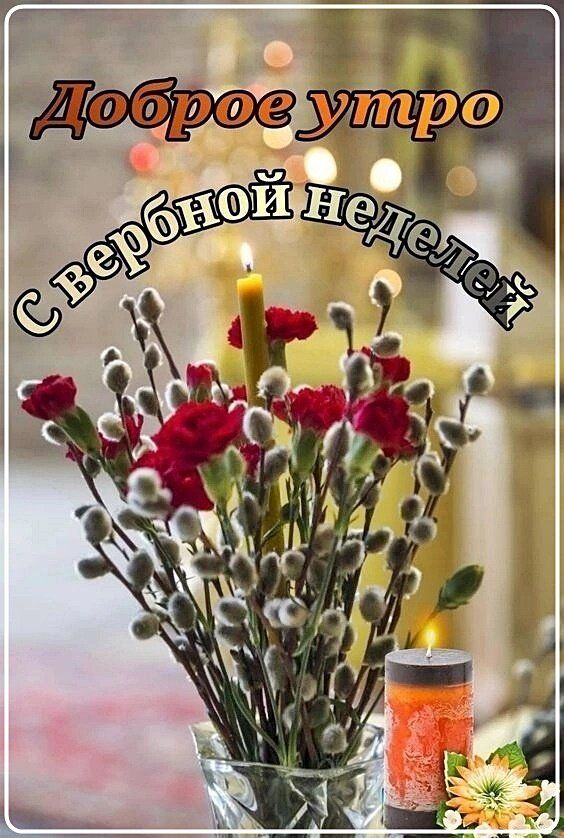 Доброе утро С вербной неделей!