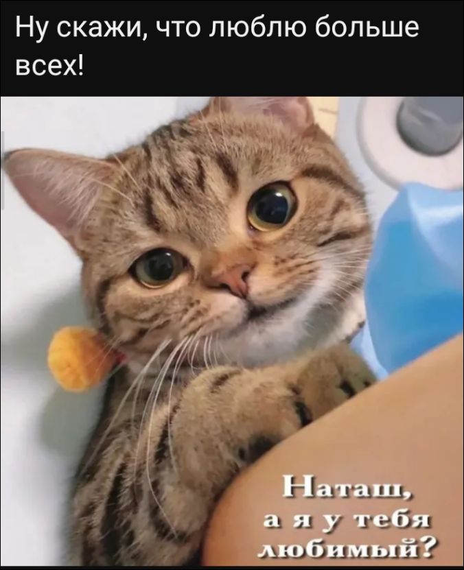 Ну скажи, что люблю больше всех! Наташ, а я у тебя любимый?