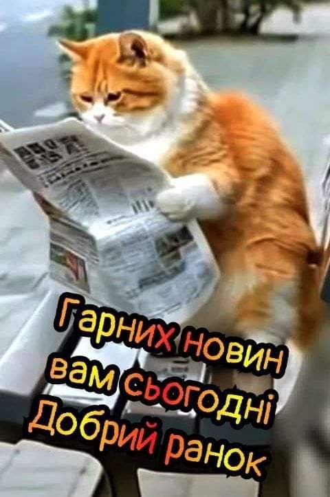Гарних новин вам сьогодні Добрий ранок
