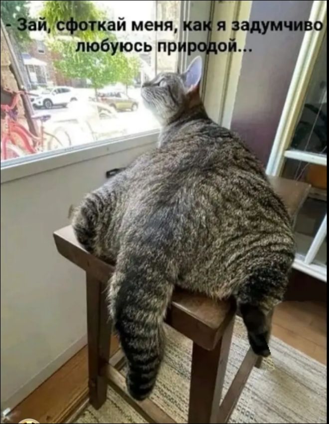 Зай, сфоткай меня, как я задумчиво любуюсь природой...