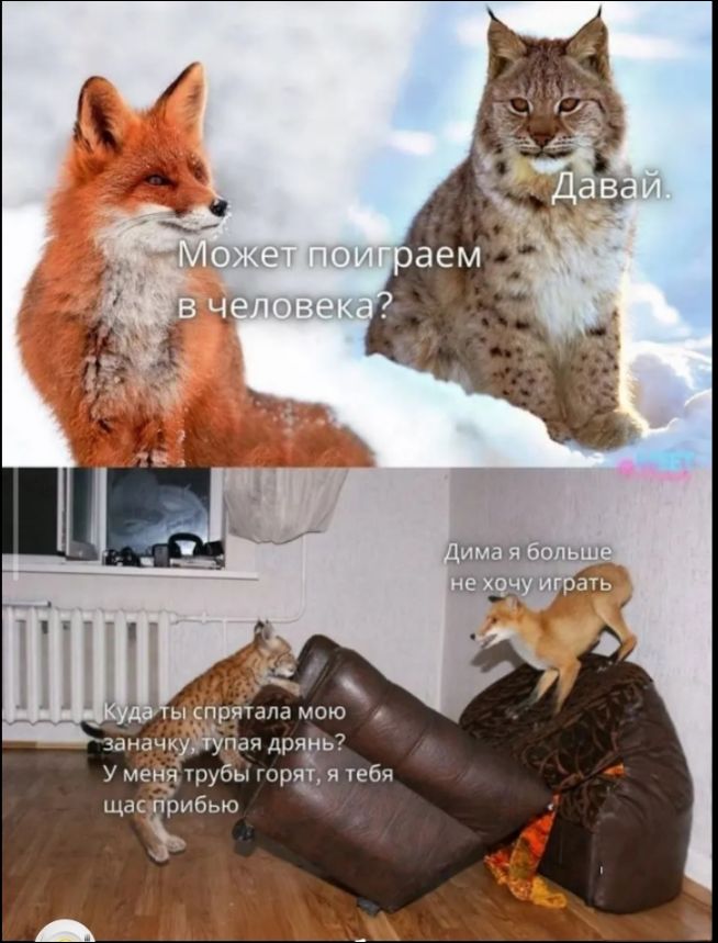 Может поиграем в человека? Давай. Куда ты спрятала мою заначку, тупая дрянь? У меня трубы горят, я тебя щас прибью. Дима я больше не хочу играть