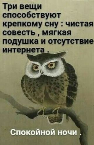 Три вещи способствуют крепкому сну: чистая совесть, мягкая подушка и отсутствие интернета. Спокойной ночи.