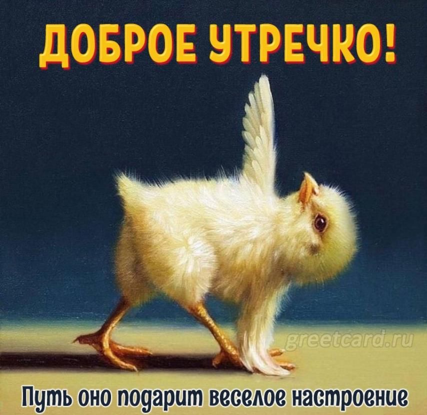 ДОБРОЕ УТРЕЧКО! Пусть оно подарит веселое настроение greetcard.ru