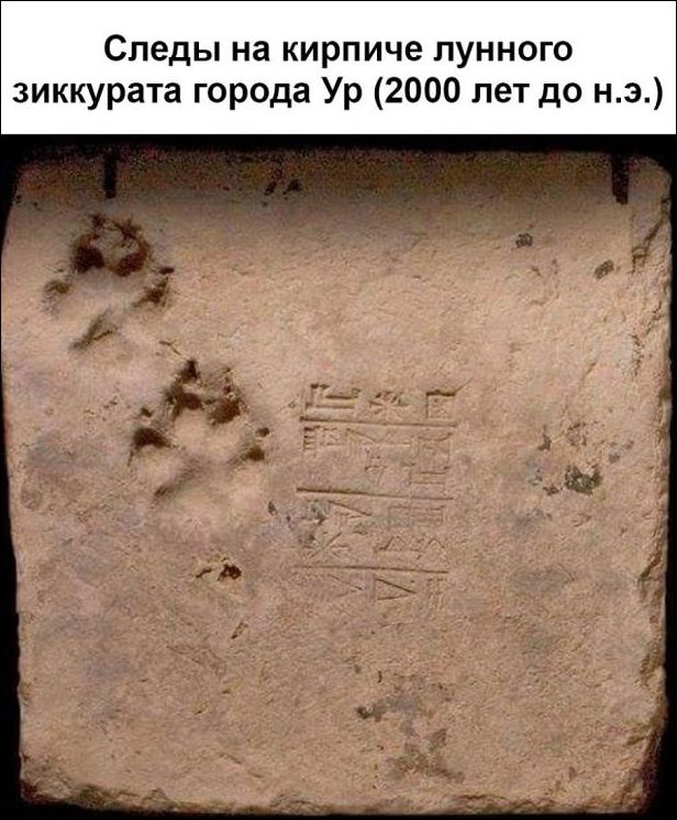 Следы на кирпиче лунного зиккурата города Ур (2000 лет до н.э.)