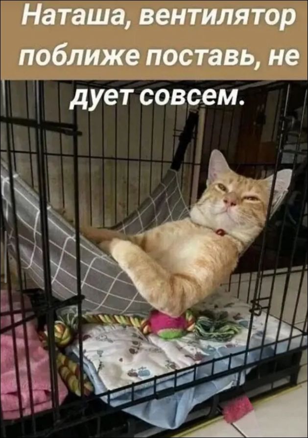 Наташа, вентилятор поближе поставь, не дует совсем.