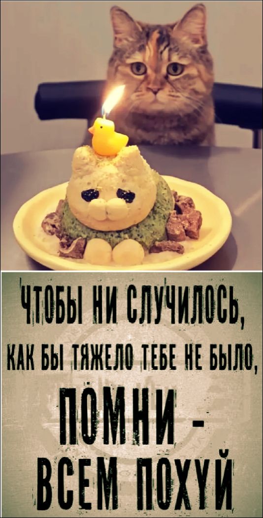 ЧТОБЫ НИ СЛУЧИЛОСЬ, КАК БЫ ТЯЖЕЛО ТЕБЕ НЕ БЫЛО, ПОМНИ - ВСЕМ ПОХУЙ