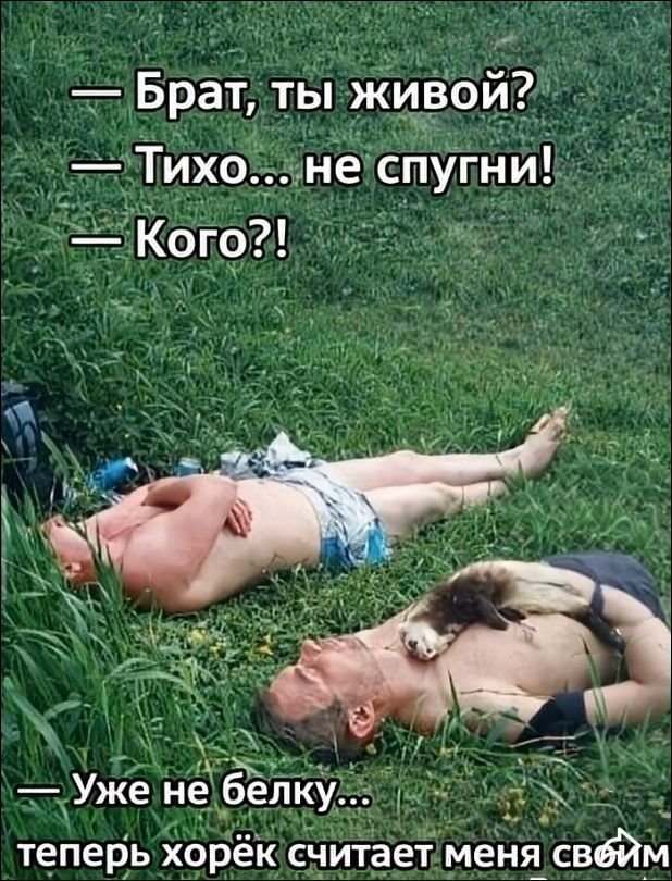 Брат, ты живой? Тихо... не спугни! Кого?! Уже не белку... теперь хорёк считает меня своим