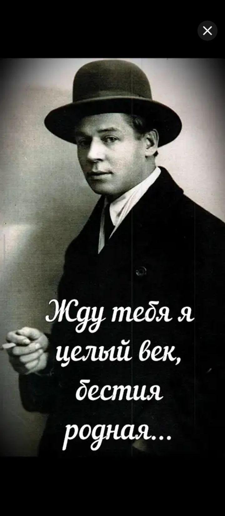 Жду тебя я целый век, бестия родная...