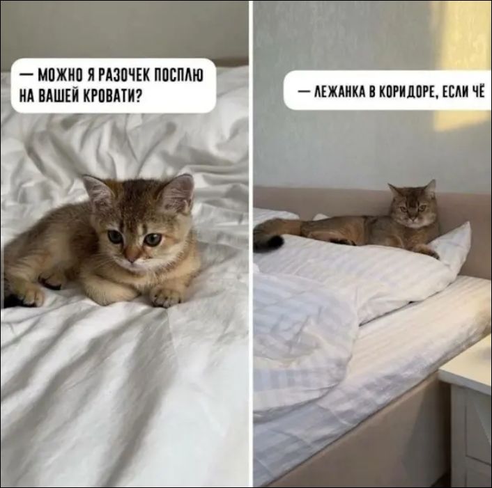 — можно я разочек посплю на вашей кровати? — ЛЕЖАНКА В КОРИДОРЕ, ЕСЛИ ЧЁ
