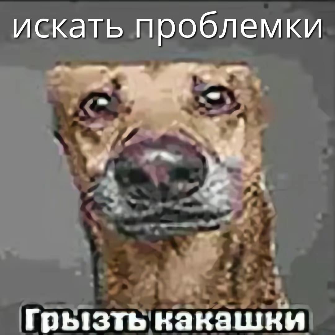 искать проблемки
Грызть какашки