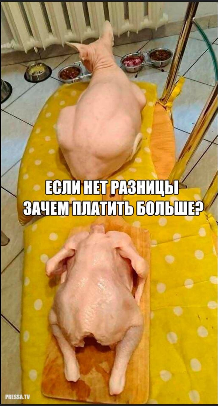 ЕСЛИ НЕТ РАЗНИЦЫ ЗАЧЕМ ПЛАТИТЬ БОЛЬШЕ?