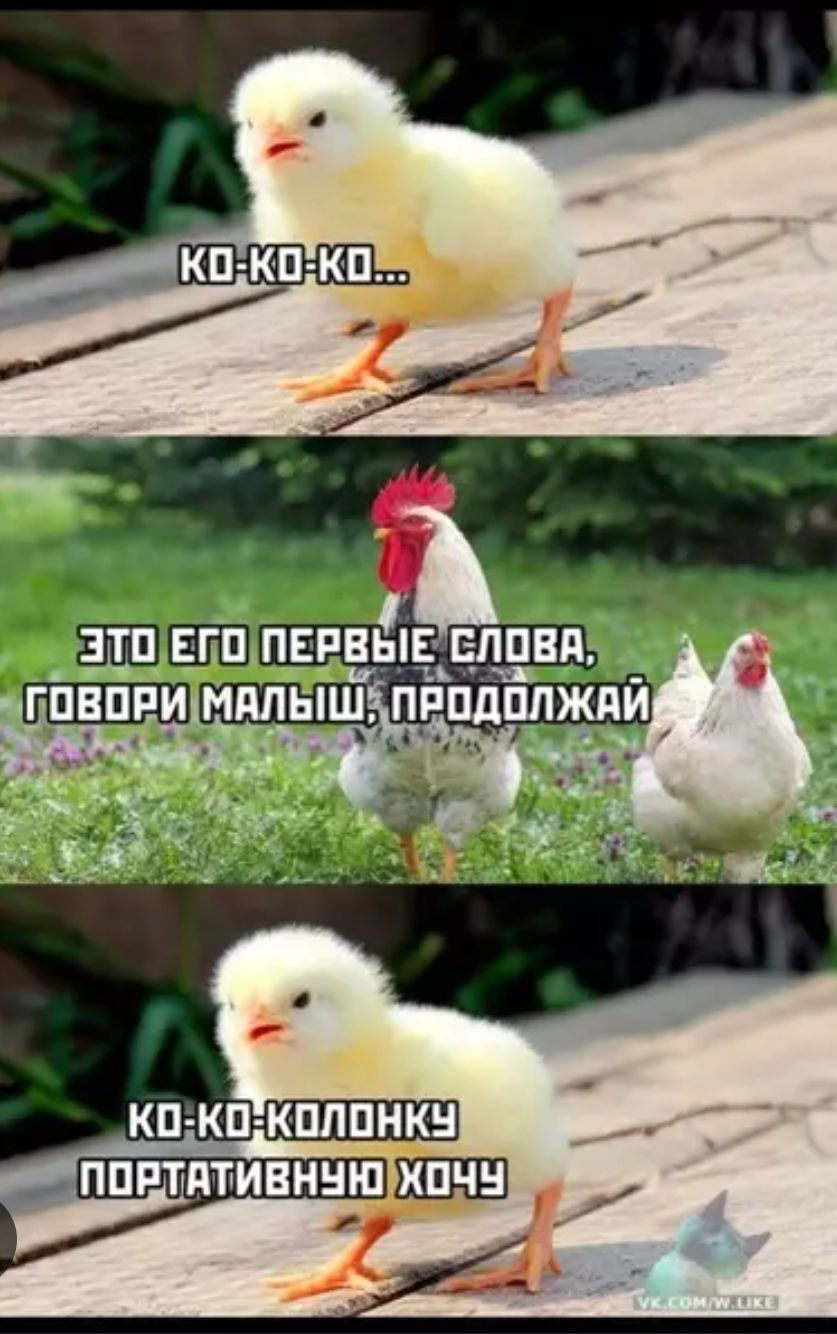 КО-КО-КО...
ЭТО ЕГО ПЕРВЫЕ СЛОВА, ГОВОРИ МАЛЫШ, ПРОДОЛЖАЙ
КО-КО-КОЛОКУ ПОРТАТИВНУЮ ХОЧУ