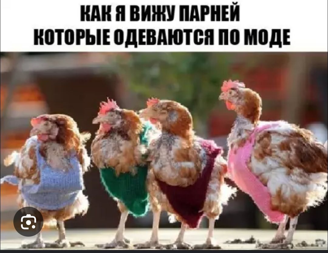 КАК Я ВИЖУ ПАРНЕЙ КОТОРЫЕ ОДЕВАЮТЬСЯ ПО МОДЕ
