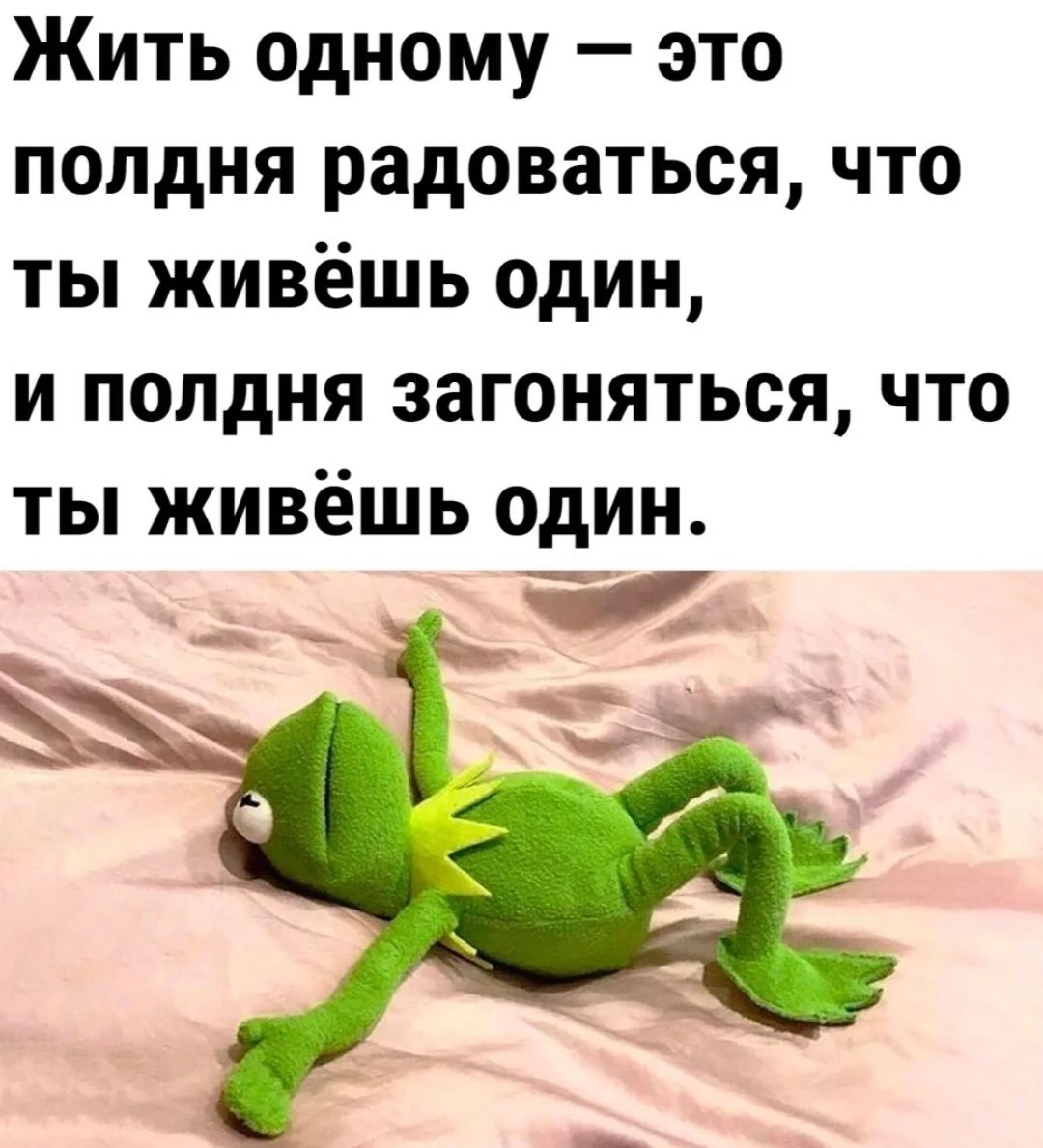 Жить одному — это полдня радоваться, что ты живёшь один, и полдня загоняться, что ты живёшь один.