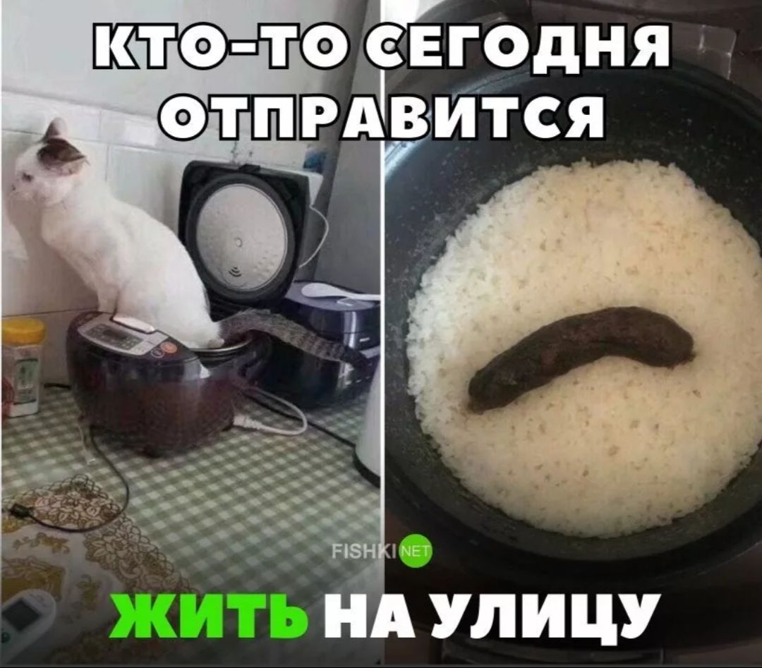 КТО-ТО СЕГОДНЯ ОТПРАВИТСЯ ЖИТЬ НА УЛИЦУ