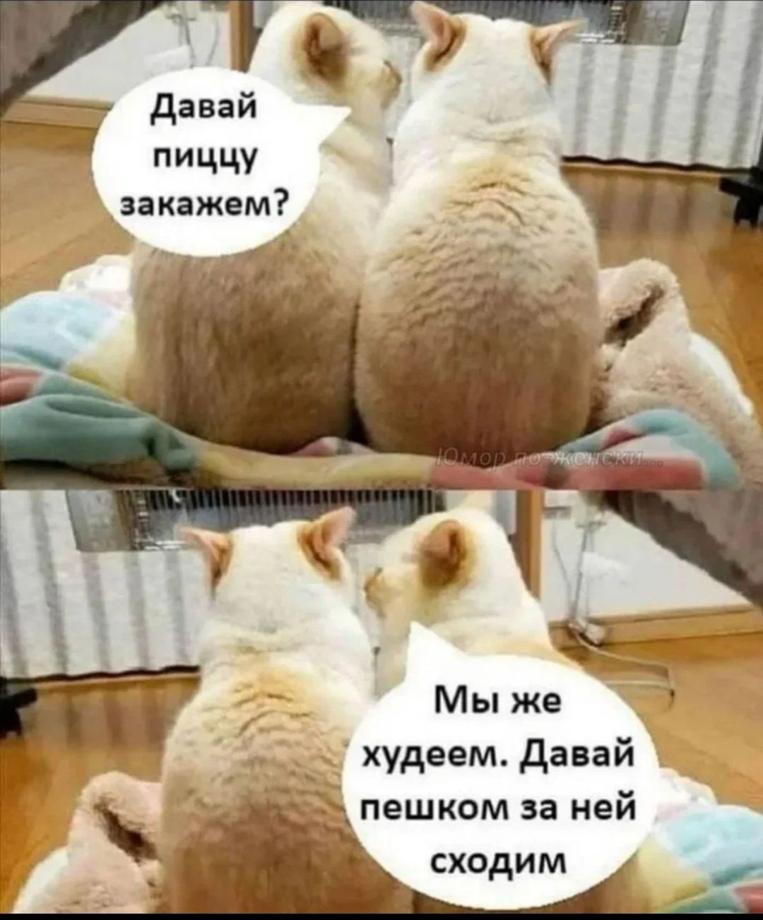 Давай пиццу закажем? Мы же худеем. Давай пешком за ней сходим