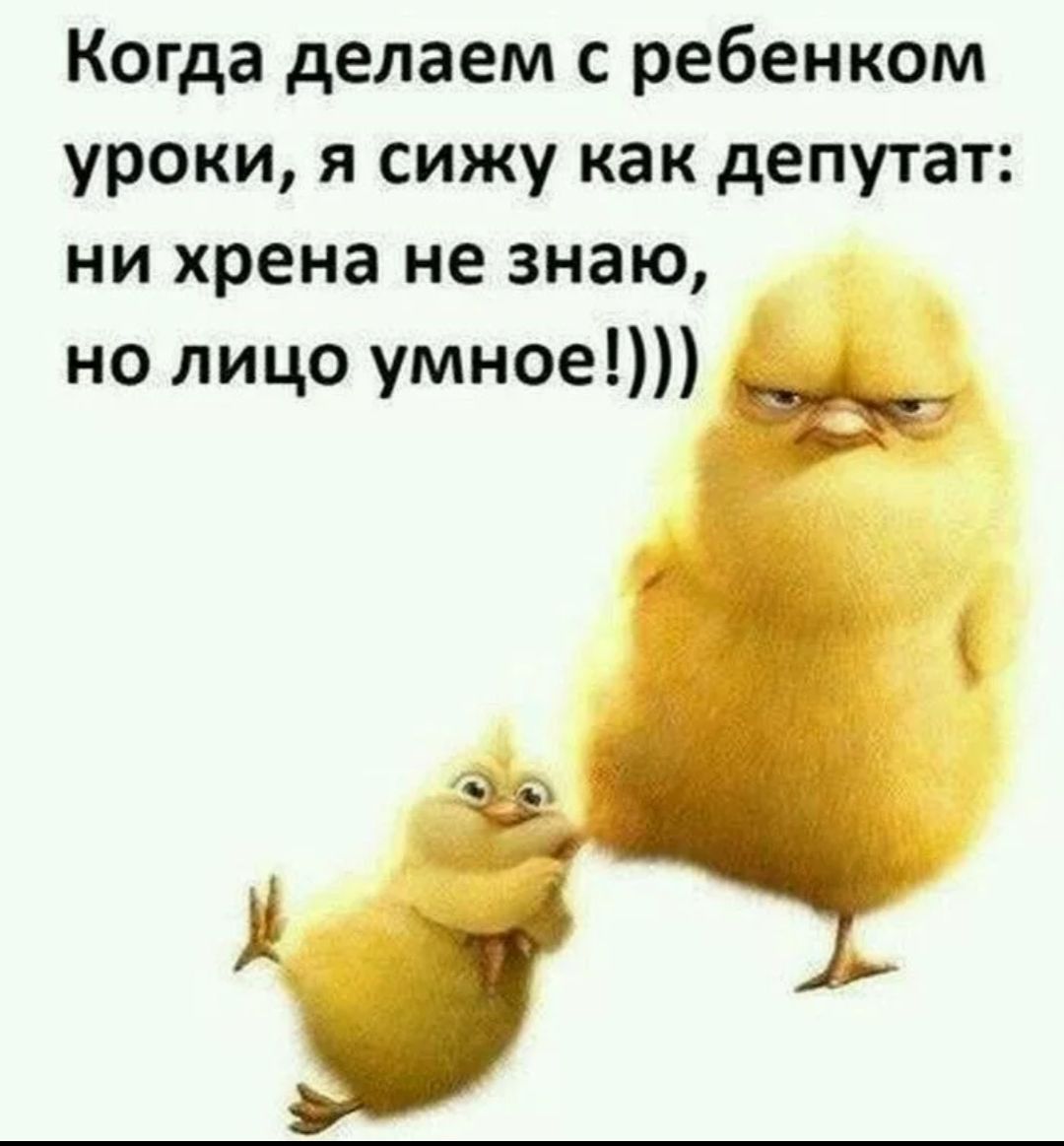 Когда делаем с ребенком уроки, я сижу как депутат: ни хрена не знаю, но лицо умное!)))