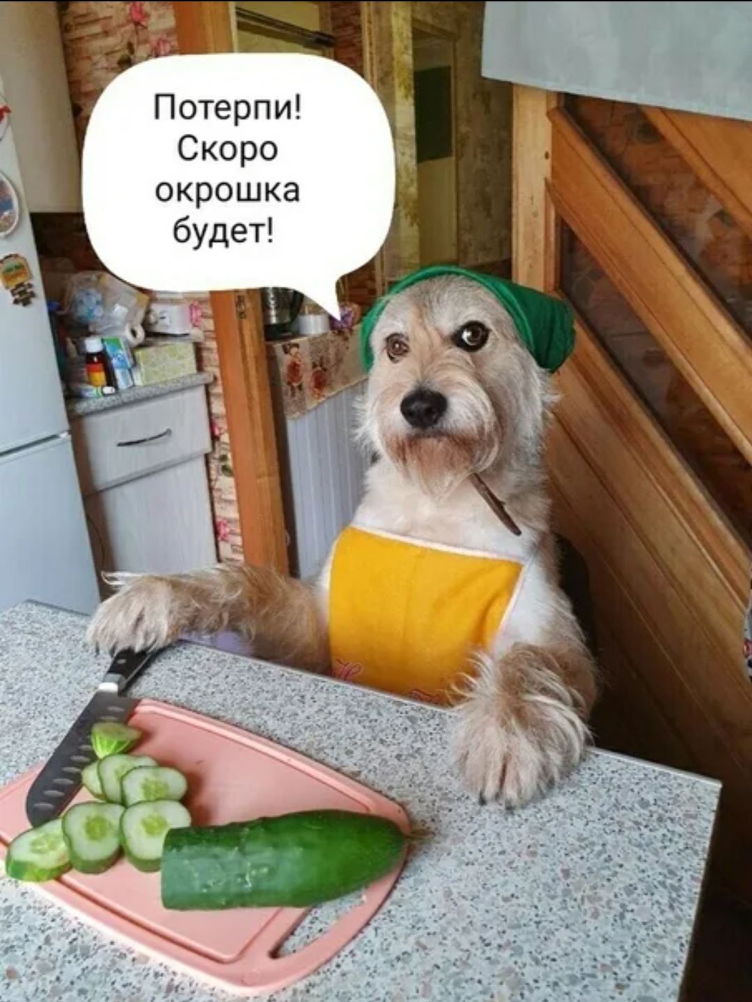 Потерпи! Скоро окрошка будет!