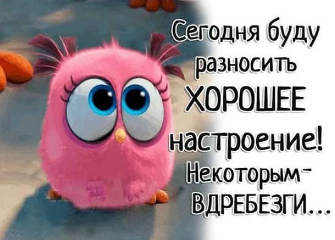 Сегодня буду разносить ХОРОШЕЕ настроение! Некоторым - ВДРЕБЕЗГИ...