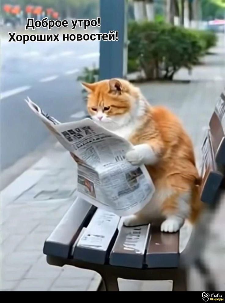 Доброе утро! Хороших новостей!