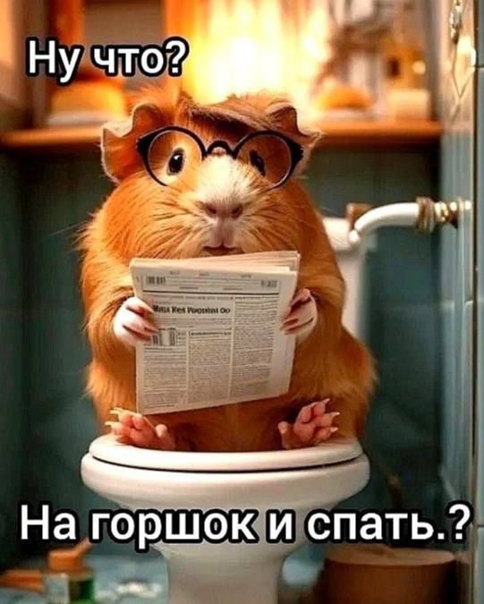 Ну что? На горшок и спать.?
