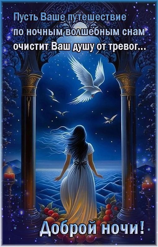 Пусть Ваше путешествие по ночным волшебным снам очистит Ваш душу от тревог...
Доброй ночи!