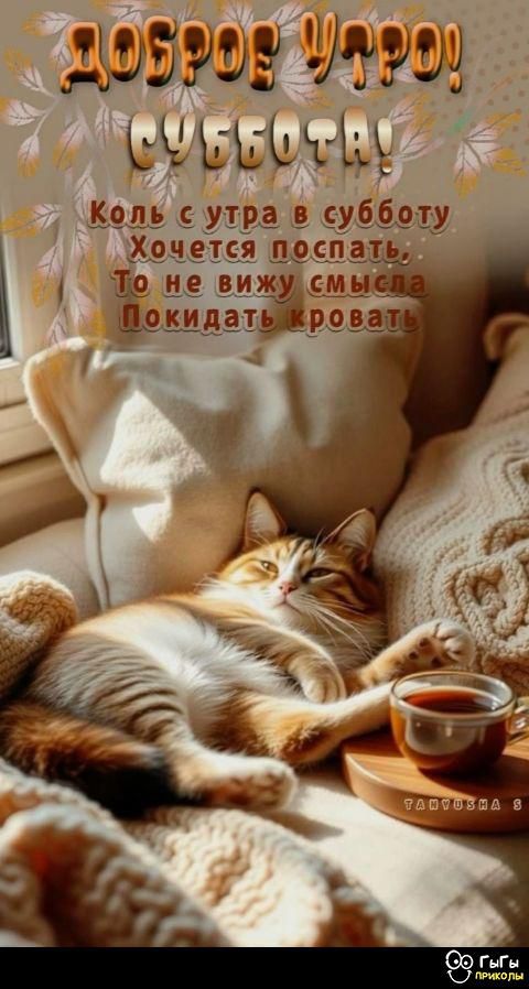 ДОБРОЕ УТРО! СУББОТА! 
Коль с утра в субботу 
Хочется поспать, 
То не вижу смысла 
Покидать кровать.