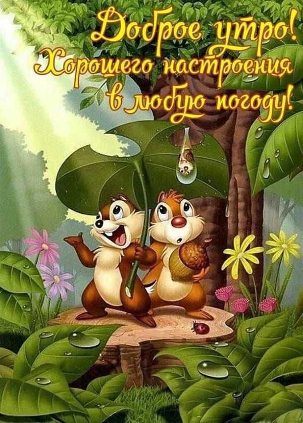 Доброе утро! Хорошего настроения в любую погоду!