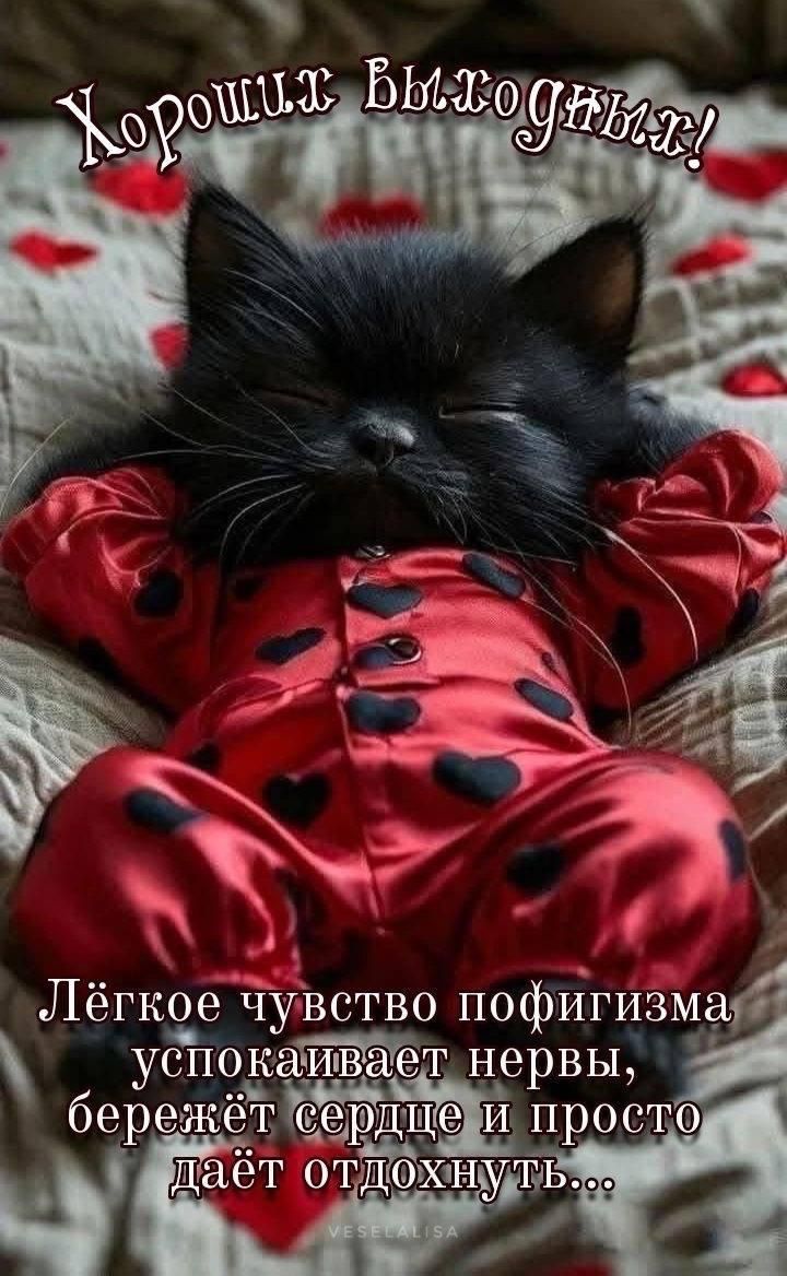 Хороших выходных!
Лёгкое чувство пофигизма успокаивает нервы, бережёт сердце и просто даёт отдохнуть...