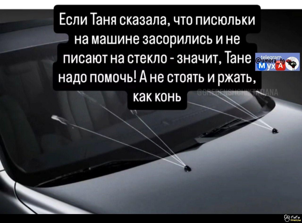 Если Таня сказала, что писюльки на машине засорились и не пишут на стекло - значит, Тане надо помочь! А не стоять и ржать, как конь