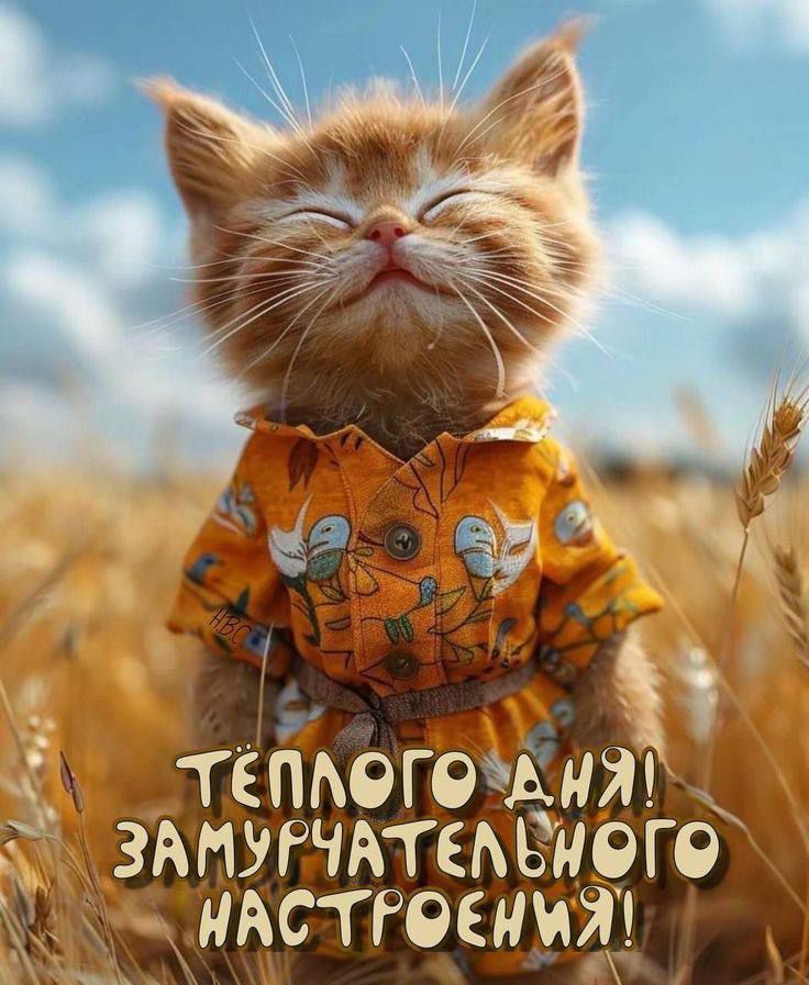Теплого дня! Замурчательного настроения!