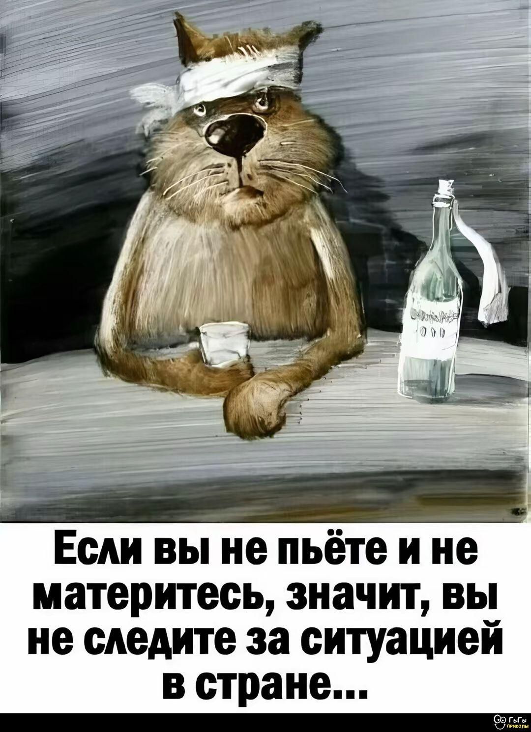 Если вы не пьёте и не материтесь, значит, вы не следите за ситуацией в стране...