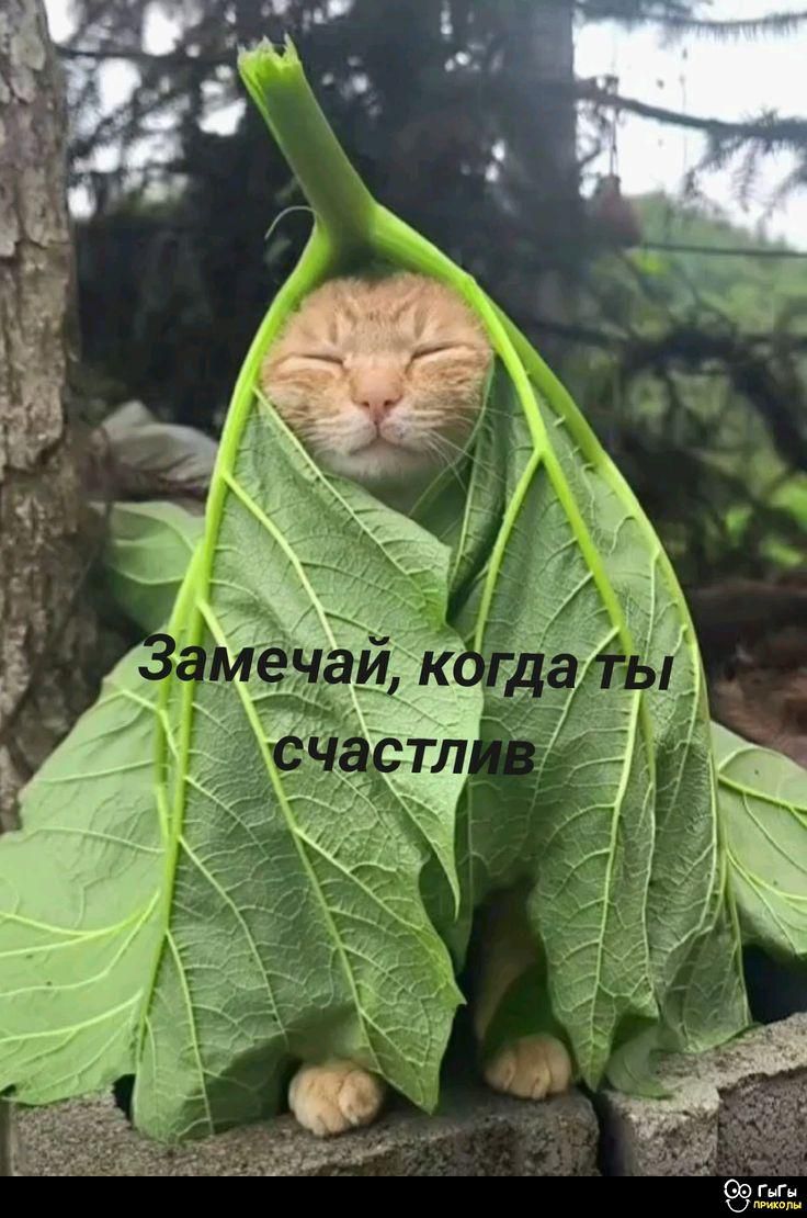 Замечай, когда ты счастлив