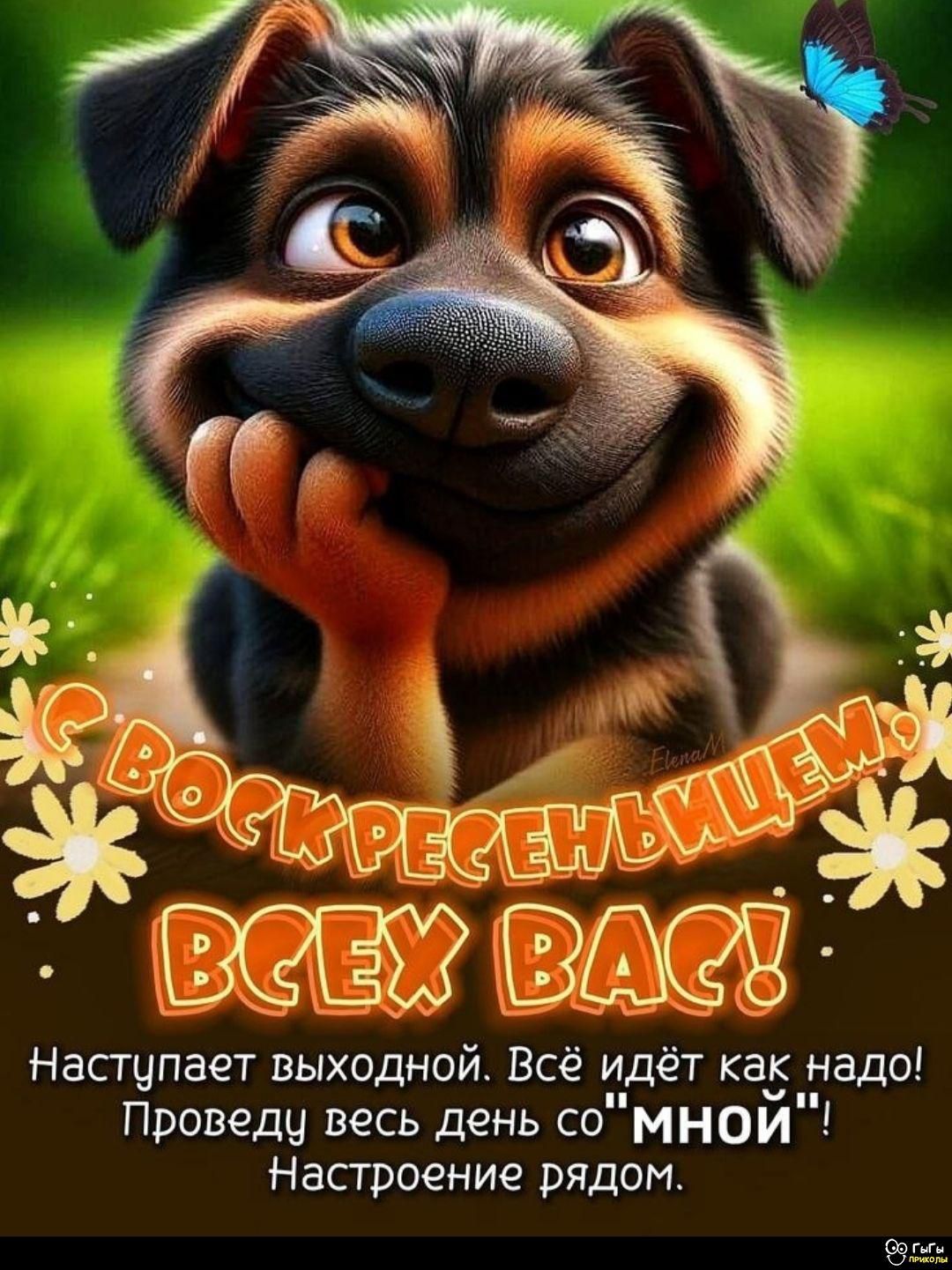 С ВОСКРЕСЕНЬЕМ, ВСЕХ ВАС! Наступает выходной. Всё идёт как надо! Проведу весь день со 